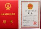 中集来福士荣获山东省科学技术进步一等奖